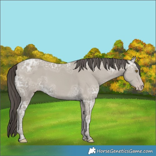 Horse Color:Classic Cream Champagne Ice 