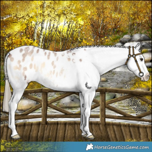 Horse Color:Red Onyx Roan Blanket 