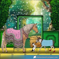Horse Color:Palomino 