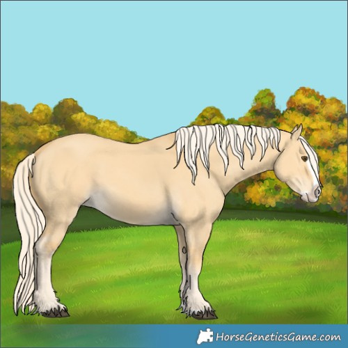 Horse Color:Palomino Dun Splash