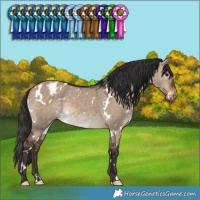 Horse Color:White Spotted Brown Dun Varnish