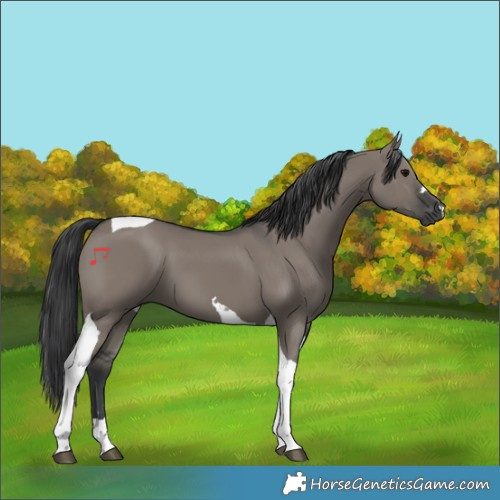 Horse Color:Grullo Tobiano 