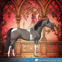 Horse Color:Grullo Tobiano
