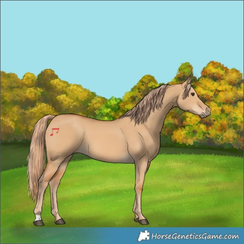 Horse Color:Red Dun 
