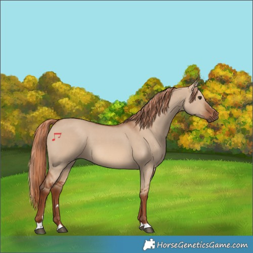 Horse Color:Red Dun 