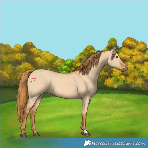 Horse Color:Red Dun 