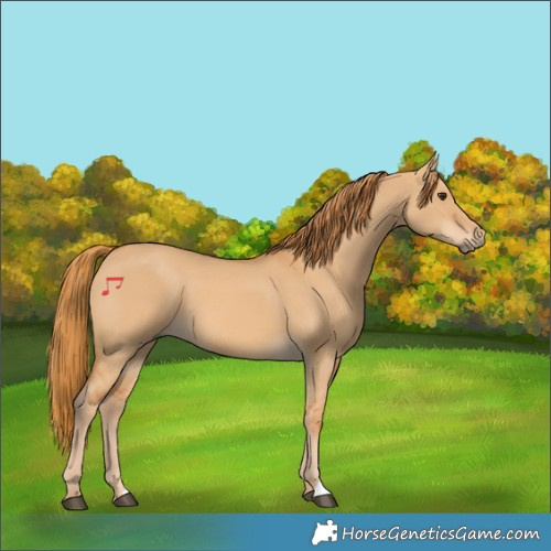 Horse Color:Red Dun