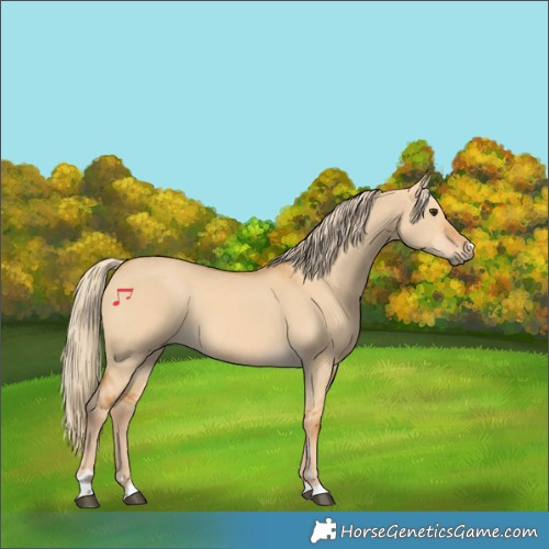 Horse Color:Red Dun