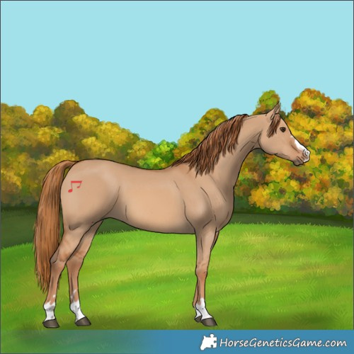Horse Color:Red Dun 