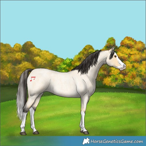 Horse Color:Buckskin Roan Dun Splash 