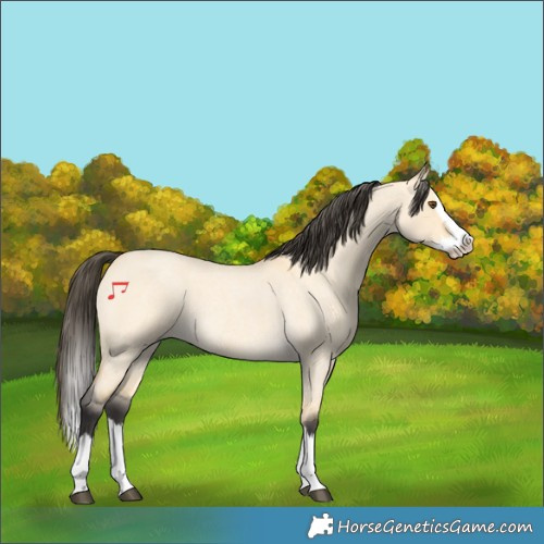 Horse Color:Buckskin Roan Dun Splash 