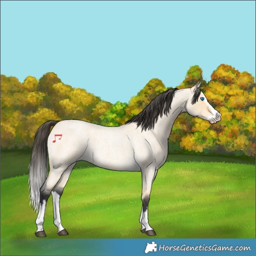 Horse Color:Buckskin Roan Dun Splash 