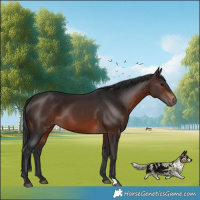 Horse Color:Brown 