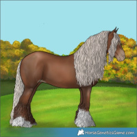 Horse Color:Gray Silver Black Pearl Tobiano 