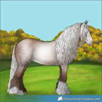 Horse Color:Gray Silver Black Pearl Tobiano 