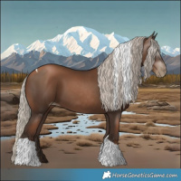 Horse Color:Gray Silver Black Pearl Tobiano