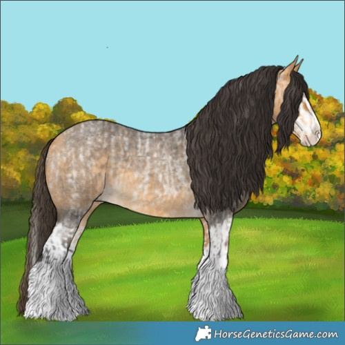 Horse Color:Buckskin Roan Splash  and Buckskin Roan Splash 