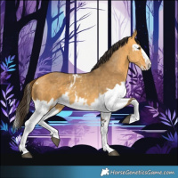Horse Color:Buckskin Dun Splash Blanket  and Buckskin Dun Splash 