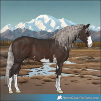 Horse Color:Silver Brown 