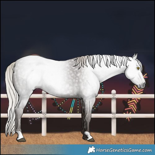 Horse Color:Gray Silver Blue Roan Rabicano 