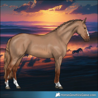 Horse Color:Red Dun 