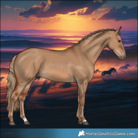 Horse Color:Red Dun 