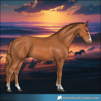 Horse Color:Chestnut 