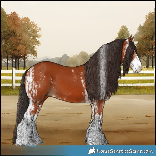 Horse Color:Bay Sabino  and Bay Sabino 