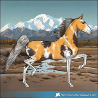Horse Color:Silver Bay Sabino  and Buckskin Sabino 