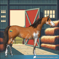 Horse Color:Bay Sabino and Buckskin Sabino