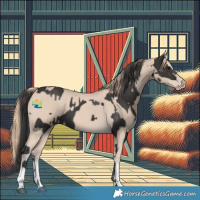 Horse Color:Smoky Black  and Smoky Creme 