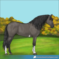 Horse Color:Grullo Tobiano