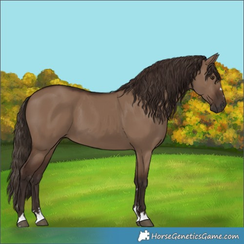 Horse Color:Liver Red Dun 