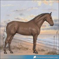 Horse Color:Silver Black 