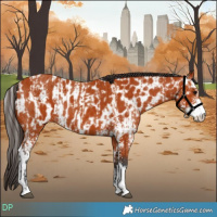 Horse Color:Bay Sabino and Bay Sabino Near Leopard
