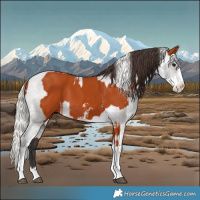 Horse Color:Bay Sabino  and Silver Bay Sabino Varnish 