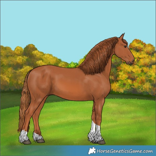 Horse Color:Chestnut Tobiano 
