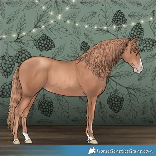 Horse Color:Gold Champagne Splash 
