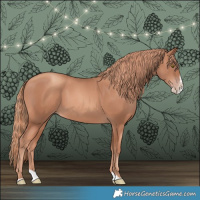 Horse Color:Gold Champagne Splash 
