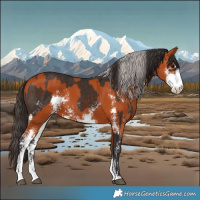 Horse Color:Silver Brown Sabino  and Bay Sabino 