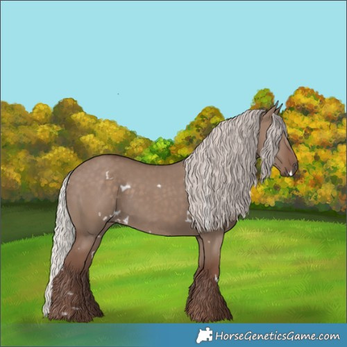 Horse Color:White Spotted Silver Grullo Rabicano 