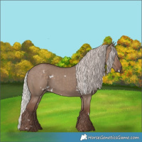 Horse Color:White Spotted Silver Grullo Rabicano