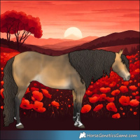 Horse Color:Buckskin