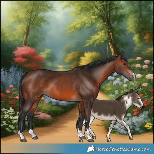 Horse Color:Brown 