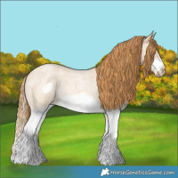 Horse Color:Red Dun Roan Splash Frame Rabicano 