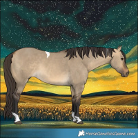 Horse Color:Buckskin Dun Tobiano 