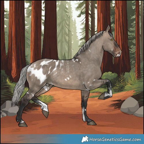 Horse Color:Powder White White Spotted Silver Brown Dun Appaloosa Rabicano 