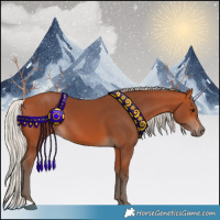 Horse Color:Silver Bay 