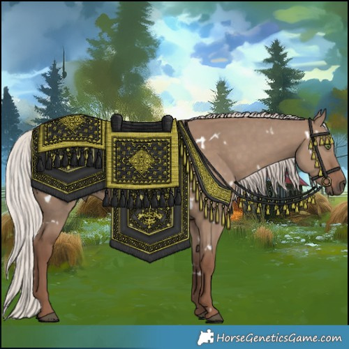 Horse Color:White Spotted Silver Grullo Rabicano 