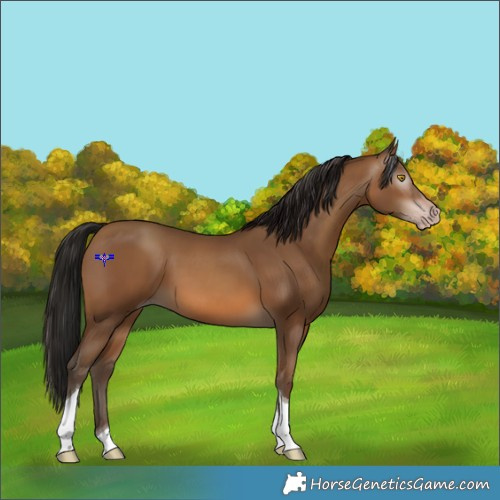 Horse Color:Gray Amber Champagne Tobiano